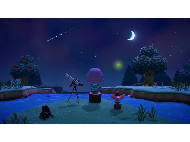 Nintendo Animal Crossing: New Horizons