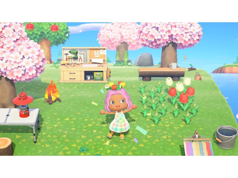Nintendo Animal Crossing: New Horizons