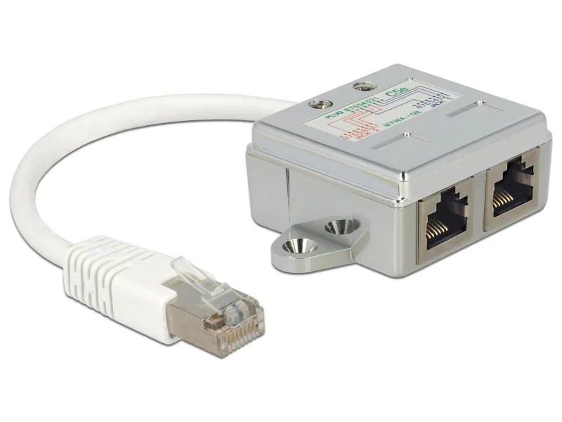 Delock Anschlussverdoppler 2x 100Mbps LAN 1 Stück