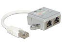 Delock Anschlussverdoppler 2x 100Mbps LAN 1 Stück
