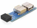 Delock USB 2.0 Adapter USB-A Buchse - USB-Pinheader