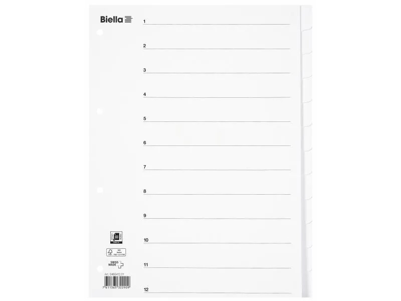 Biella Register A4 Karton 12-teilig mit Indexblatt