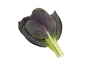 Click and Grow Samen Roter Pak Choi