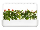 Click and Grow Kräutertopf Smart Garden 9 Weiss