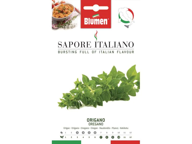Blumen Samen Origano