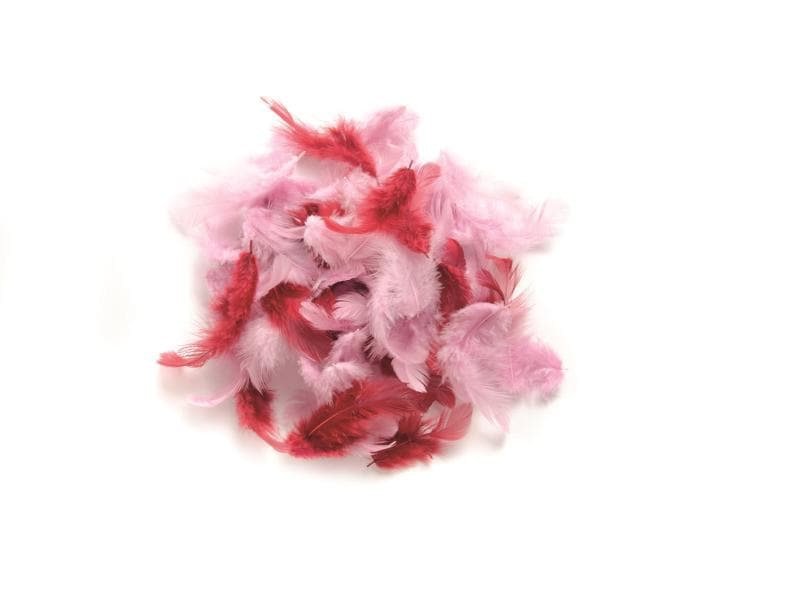 Glorex Federn Deco Rosa