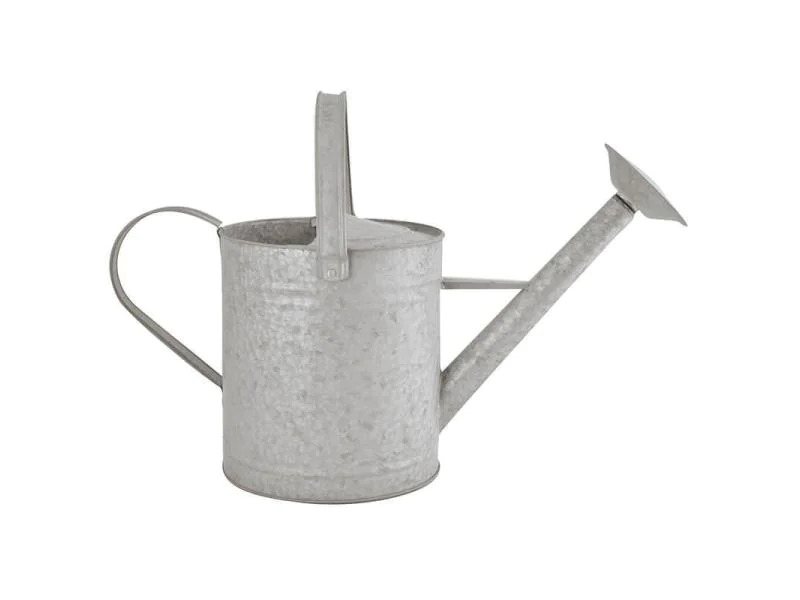 Esschert Design Giesskanne 8.75 l Zink