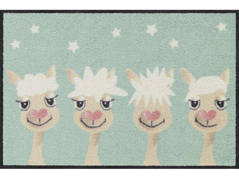 Salonlöwe Fussmatte Perfect Hair Day 50 cm x 75 cm