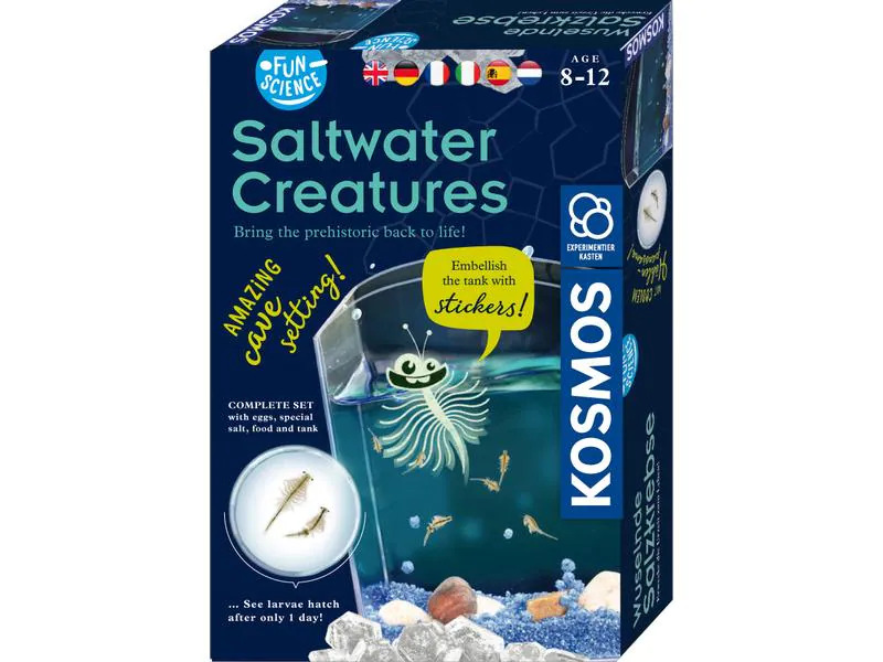 Kosmos Experimentierkasten Saltwater Creatures