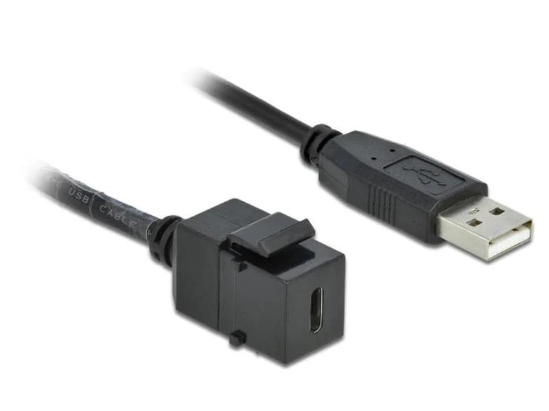 Delock Keystone-Modul USB2.0 USB-A – USB-C, 25cm schwarz