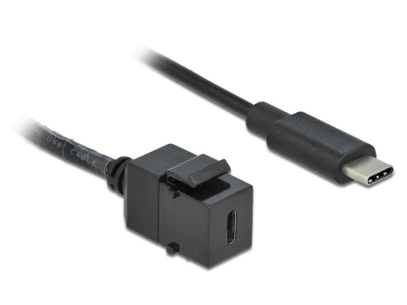 Delock Keystone-Modul USB3.0 USB-C – USB-C, 25cm Schwarz