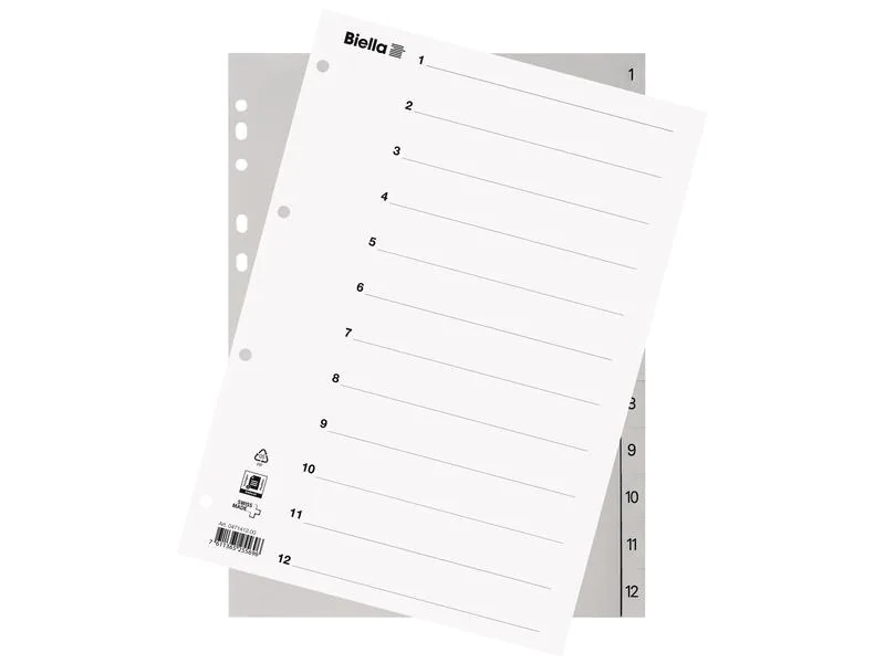 Biella Register A4 1 - 12 mit Indexblatt
