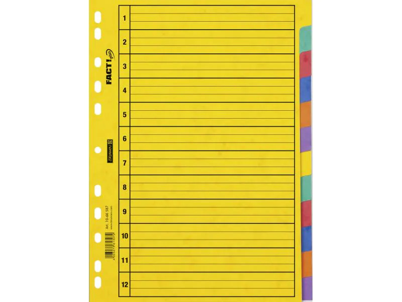 Brunnen Register A4 Fact Plus 1-12