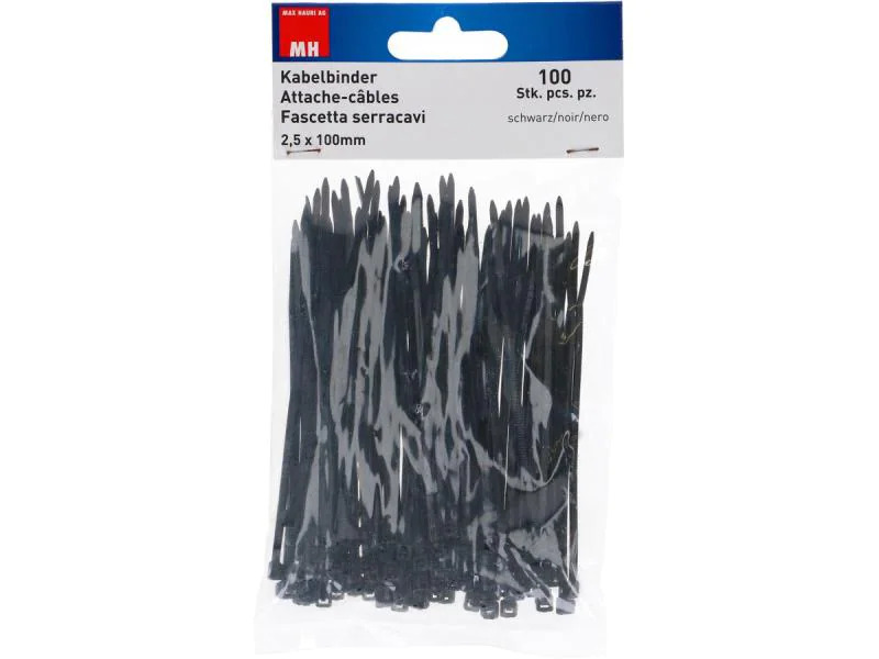 Max Hauri Kabelbinder 100 Stück Schwarz 10 cm x 2.5 mm