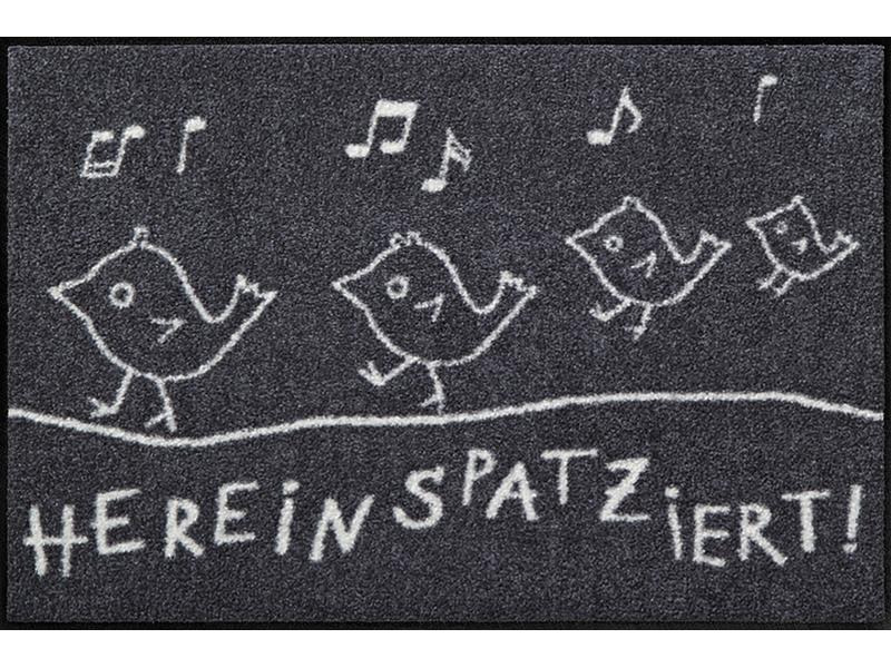Salonlöwe Fussmatte Hereinspatziert 50 cm x 75 cm