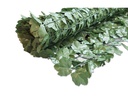 Windhager Sichtschutz Hecke Ahorn 1.5x3m grün