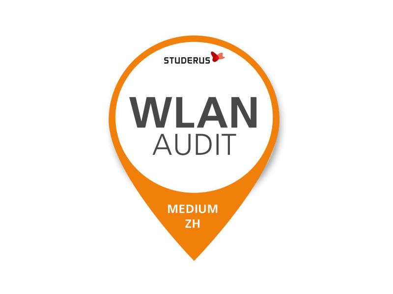 Zyxel Studerus WLAN Audit Medium ZH 2500-10000m2, Ktn. ZH