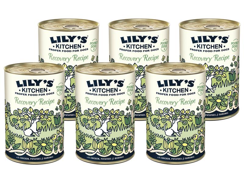 Lily's Kitchen Nassfutter Recovery Recipe, 6 x 400 g