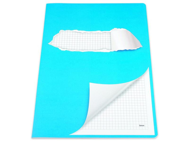 ELCO Schulheft mit Rand A4, Kariert, Blau/Weiss