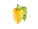 Click and Grow Samen Gelbe Peperoni