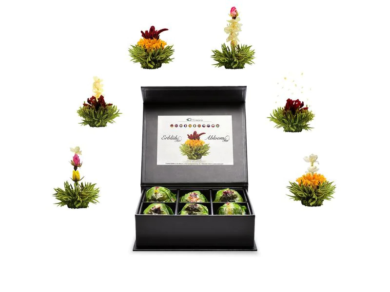 Creano Erblühtee grüner Tee fruity flavor 6er Magnetbox