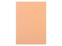 Rainbow Kopierpapier Rainbow 120 g/m² A4, Lachs