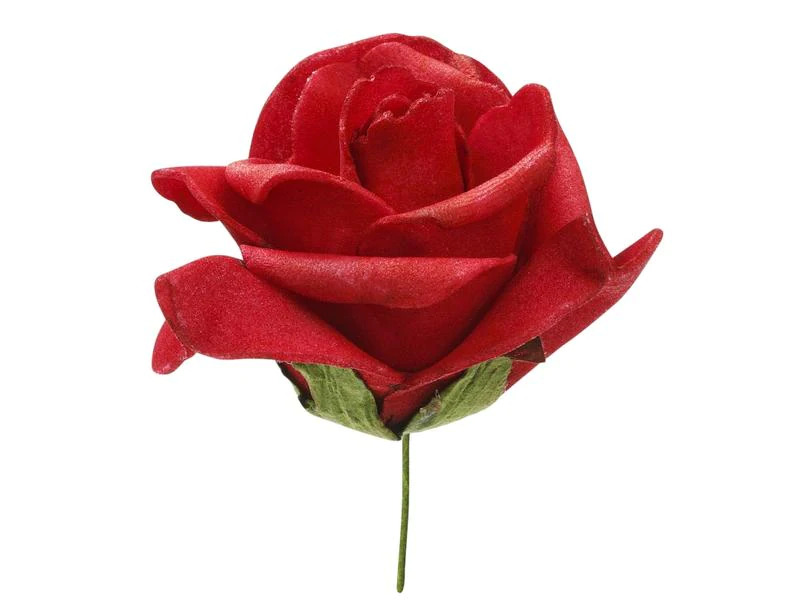HobbyFun Streudeko Rosen 12 Stück, Rot