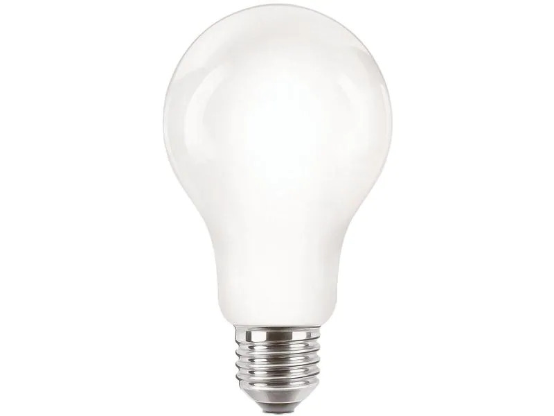 Philips Professional Lampe CorePro LEDBulb ND 120W E27 A67 827 FR G