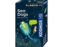Kosmos Experimentierkasten Sea Dogs