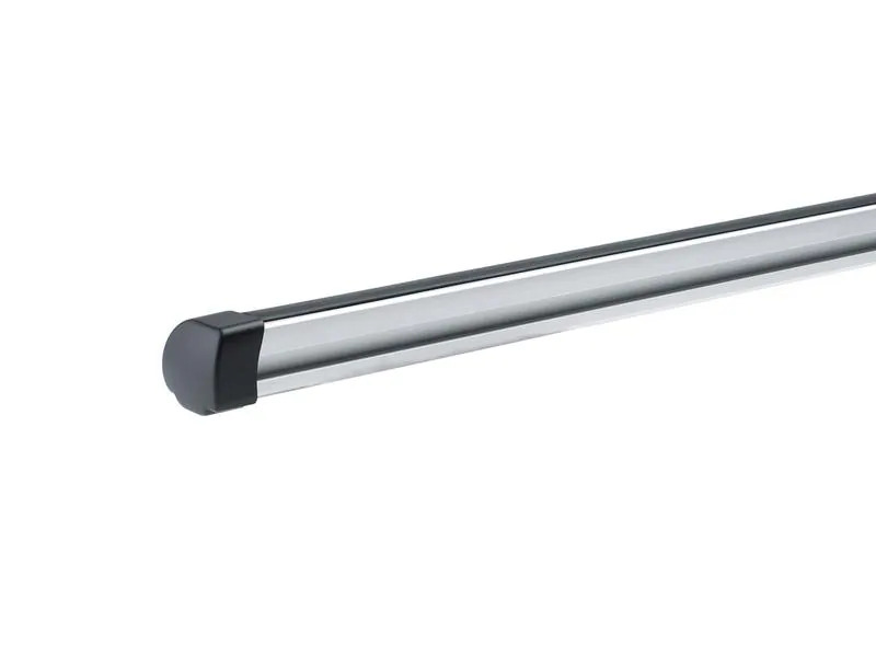 Thule Lastenträger ProBar Evo 135