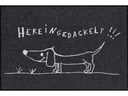 Salonlöwe Fussmatte Hereingedackelt 50 cm x 75 cm