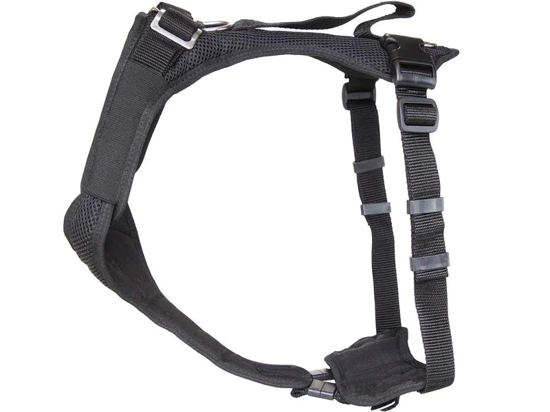 Grossenbacher Geschirr Vary, Schwarz