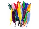 Creativ Company Federn 17 - 20 cm 250 Stück