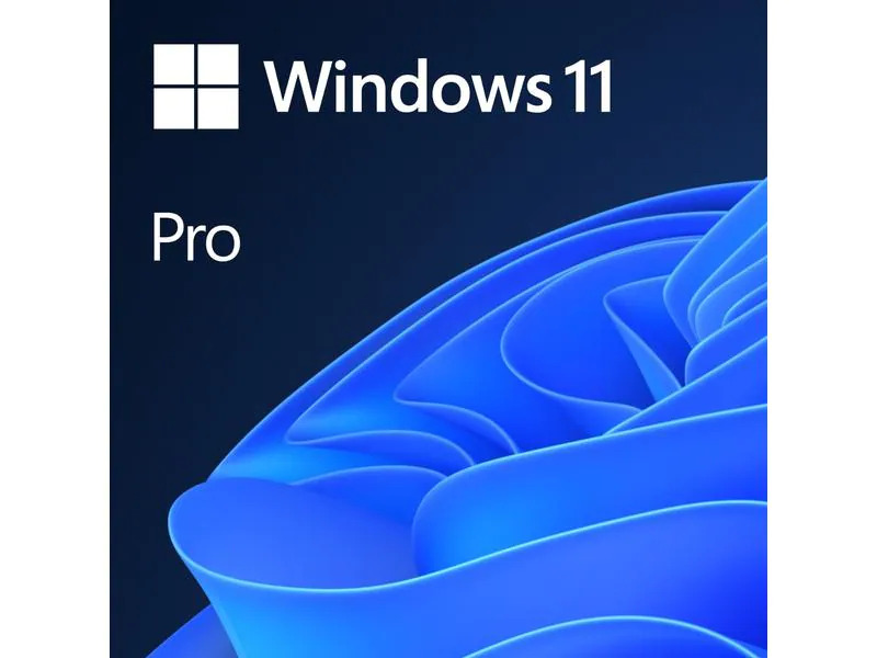 Microsoft Windows 11 Pro ESD, 64 bit