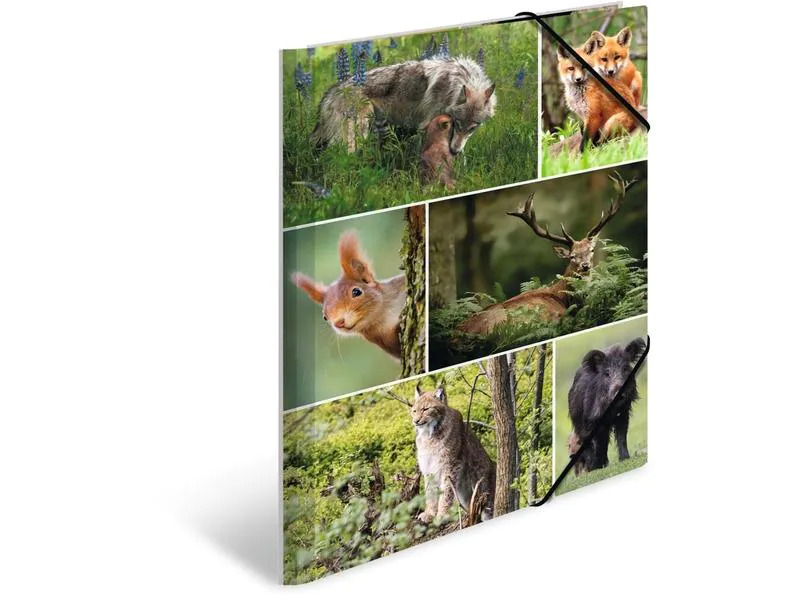 HERMA Gummibandmappe Waldtiere A4, Mehrfarbig