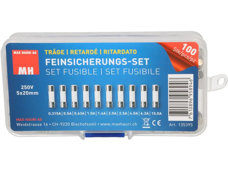 Max Hauri Schmelzsicherung Set 5 x 20 mm Träge, 100 Stück