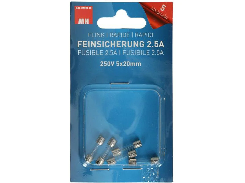 Max Hauri Schmelzsicherung 5 x 20 mm Flink 2.5 A, 5 Stück