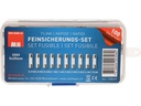 Max Hauri Schmelzsicherung Set 5 x 20 mm Flink, 100 Stück