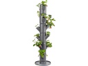 Gusta Garden Aufzuchttöpfe SISSI STRAWBERRY Classic, Anthrazit