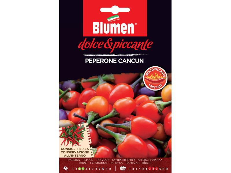 Blumen Samen Paprika Cancun