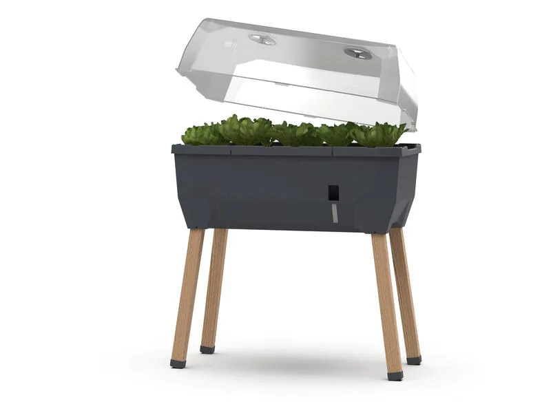 Gusta Garden Hochbeet SAMMY SALAD Starterset, Anthrazit