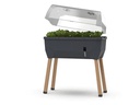 Gusta Garden Hochbeet SAMMY SALAD Starterset, Anthrazit