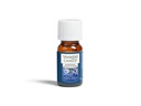 Yankee Candle Duftöl Midnight Jasmine 10 ml