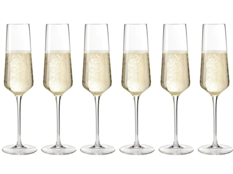 Leonardo Sektglas Puccini 280 ml, 6 Stück, Transparent 