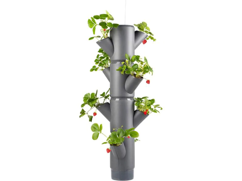 Gusta Garden Aufzuchttöpfe SISSI STRAWBERRY Hanging, Anthrazit
