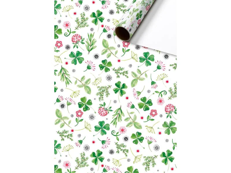 Stewo Geschenkpapier Fridolin Mehrfarbig, 70 cm x 2 m
