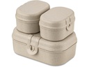 Koziol Lunchbox Pascal Ready Mini Grau/Gelb