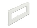 Delock Easy 45 Modulträger für Geräteeinbaukanal 175 x 80 mm
