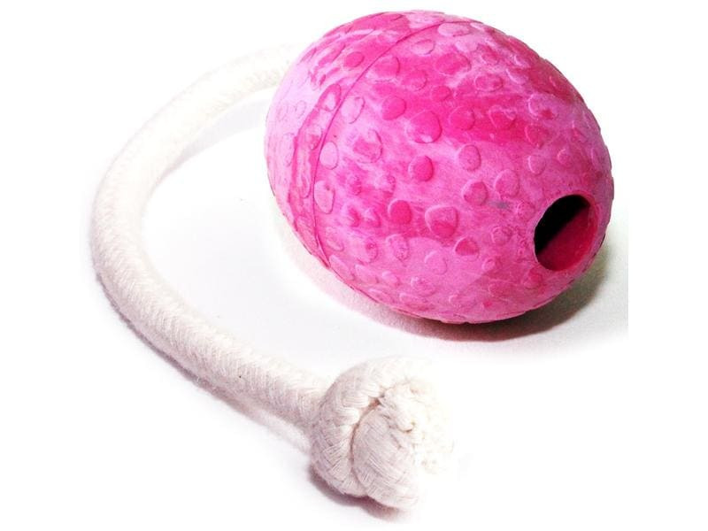 Wolters Hunde-Spielzeug Straussenei mit Seil, M