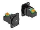Delock Modul D-Typ 3.5 mm Klinkenbuchse zu Terminalblock